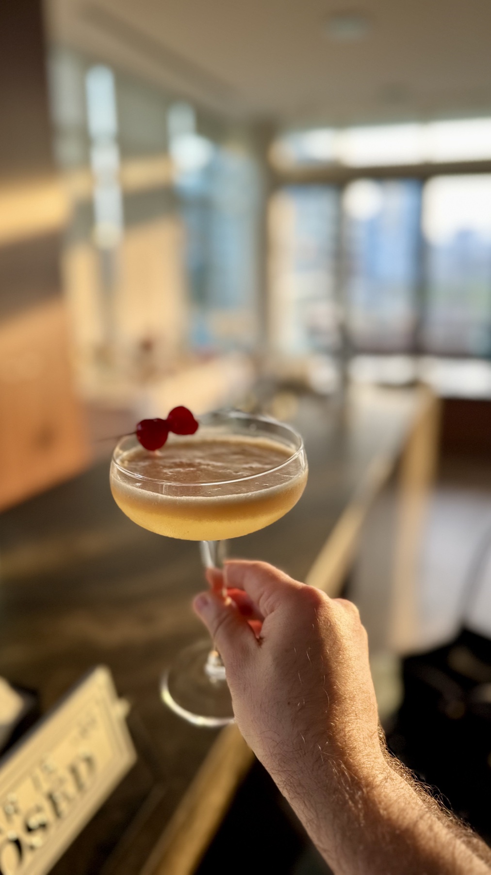 Guest holding a signature cocktail by Vlad Mobile Bar